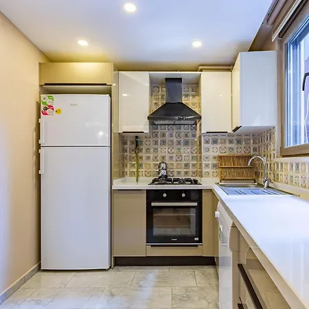 Nice Duplex Apartment Surrounded By Popular Attractions In Beyoglu