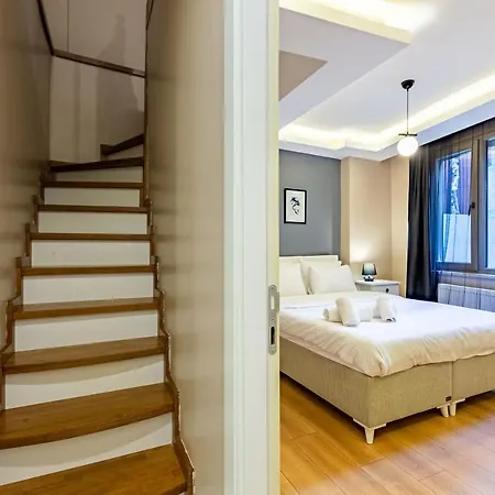 Nice Duplex Apartment Surrounded By Popular Attractions In Beyoglu アパート