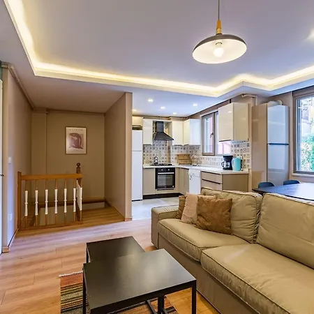 Nice Duplex Apartment Surrounded By Popular Attractions In Beyoglu 아파트