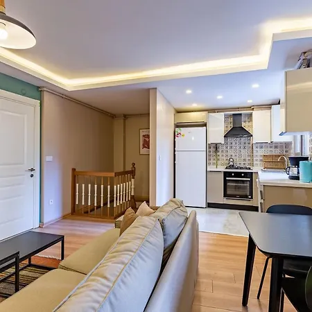 Nice Duplex Apartment Surrounded By Popular Attractions In Beyoglu 이스탄불