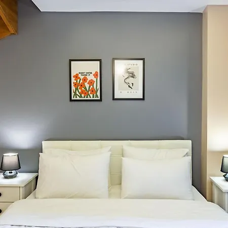 아파트 Nice Duplex Apartment Surrounded By Popular Attractions In Beyoglu *