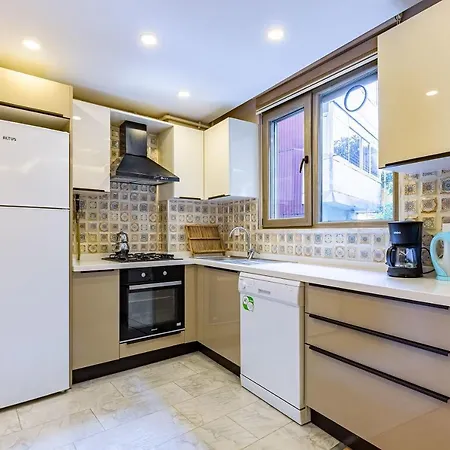 Nice Duplex Apartment Surrounded By Popular Attractions In Beyoglu